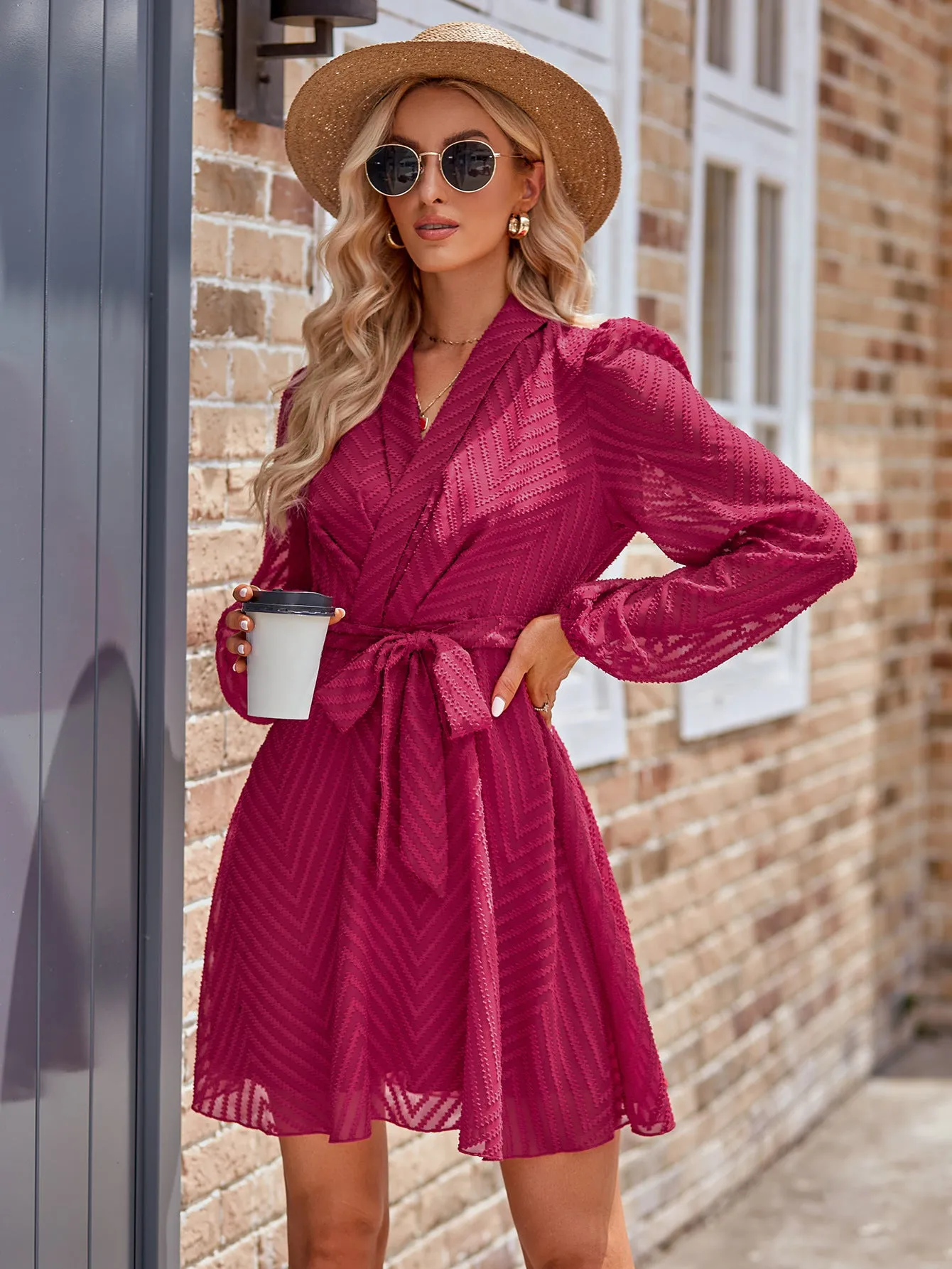 Casual Solid Color Belted Long Sleeve V-neck Perspective Dress