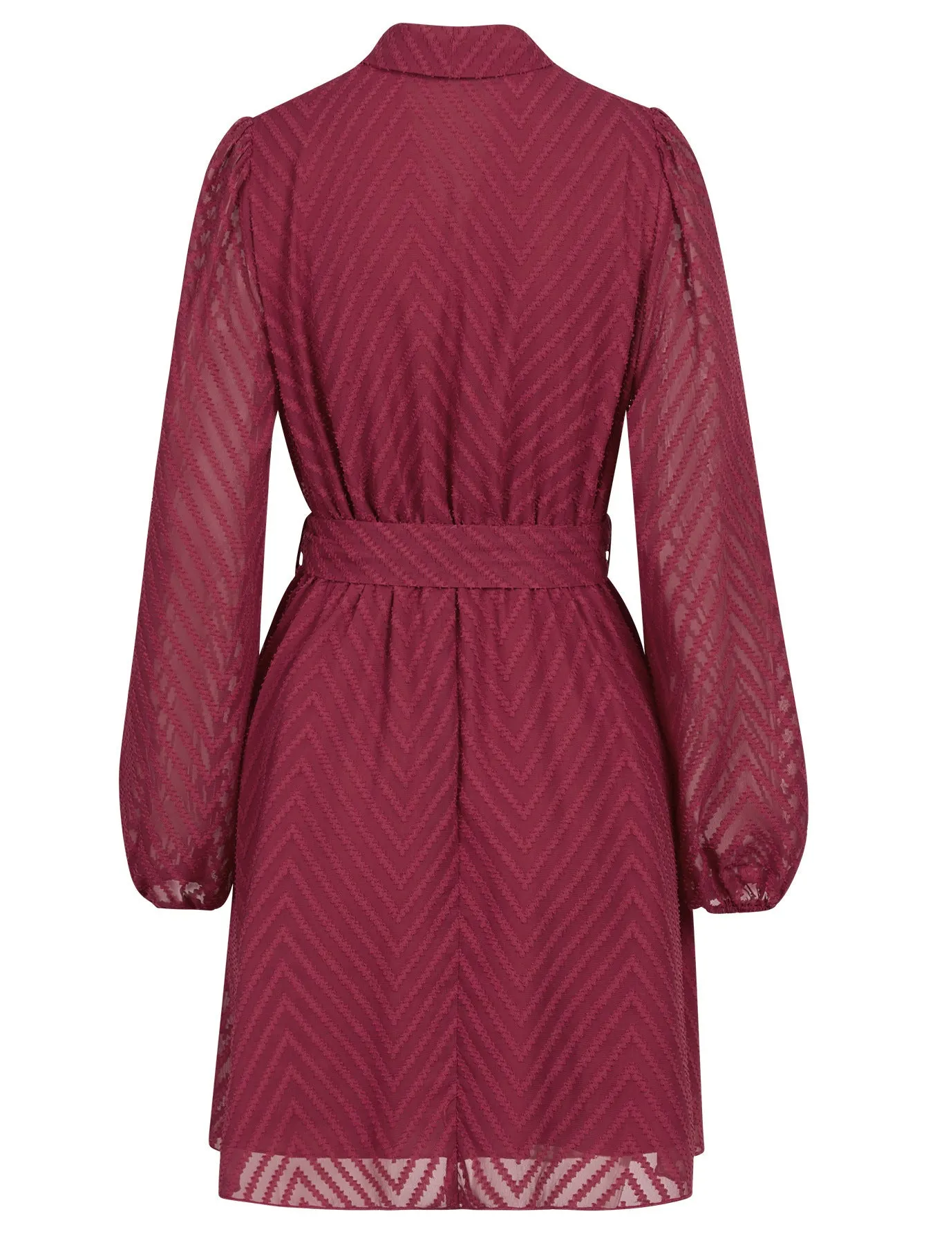 Casual Solid Color Belted Long Sleeve V-neck Perspective Dress