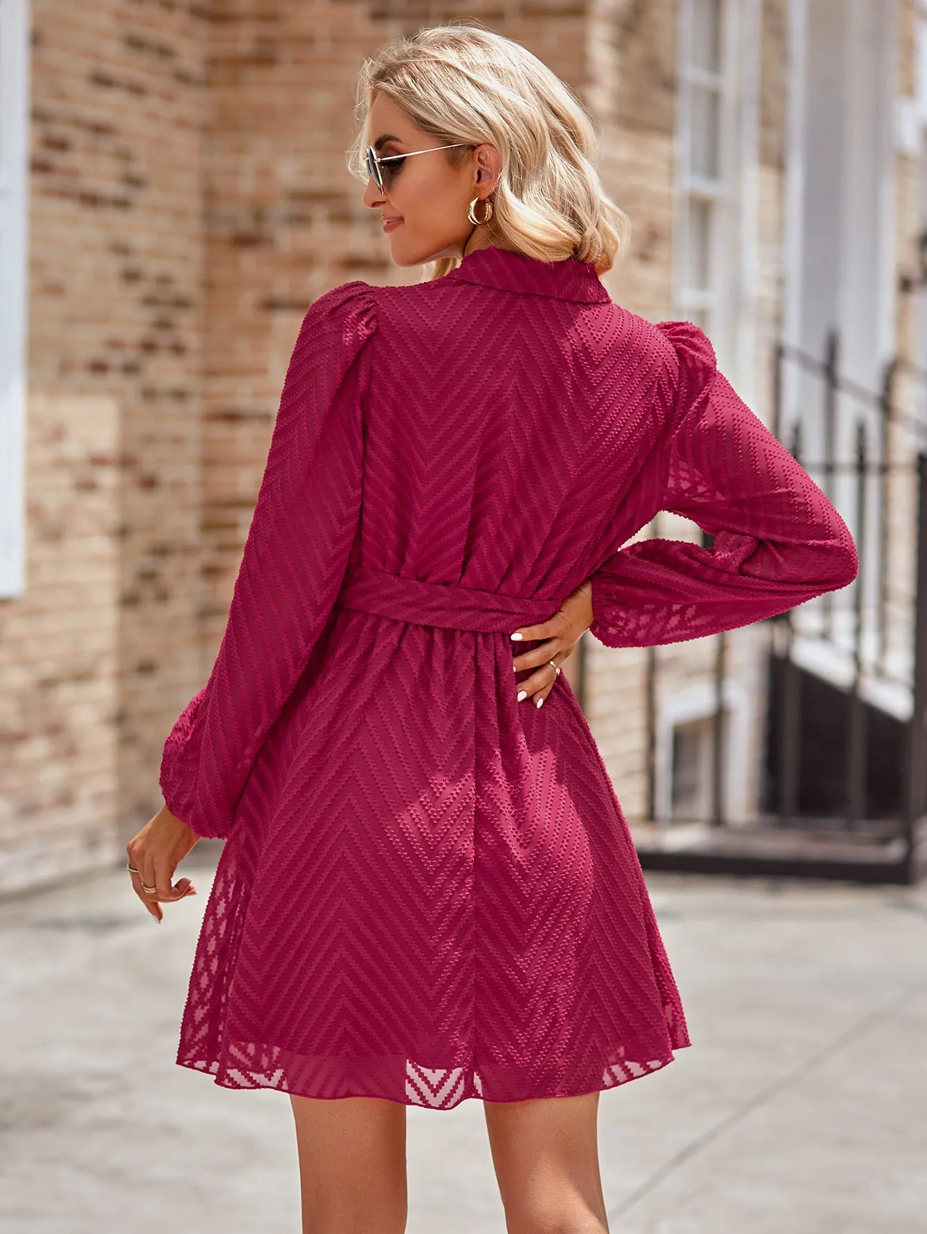 Casual Solid Color Belted Long Sleeve V-neck Perspective Dress