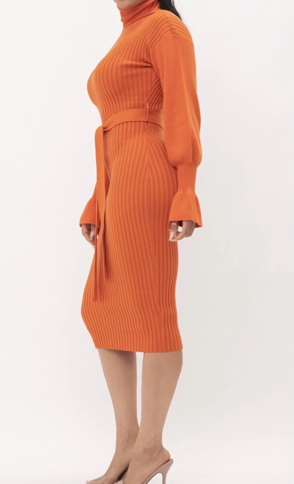Luna Statement Sleeve Midi Dress
