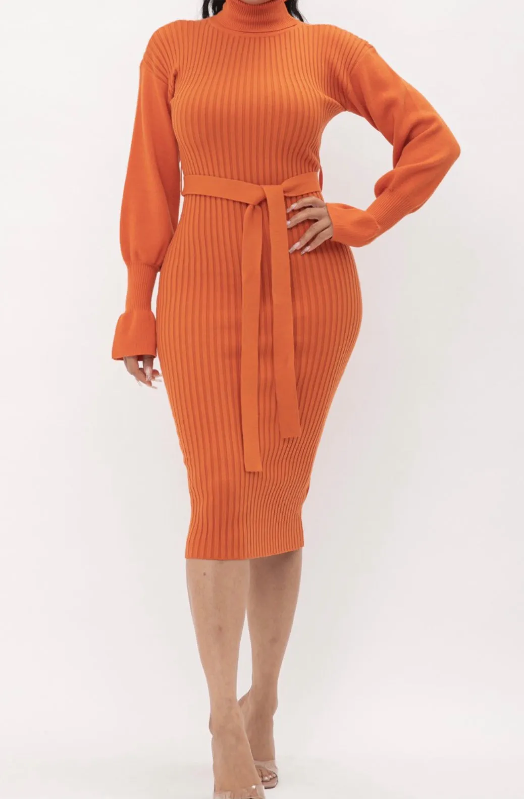 Luna Statement Sleeve Midi Dress