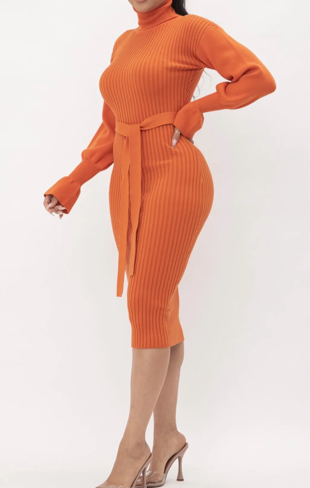 Luna Statement Sleeve Midi Dress